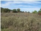 Bingara NSW 2404