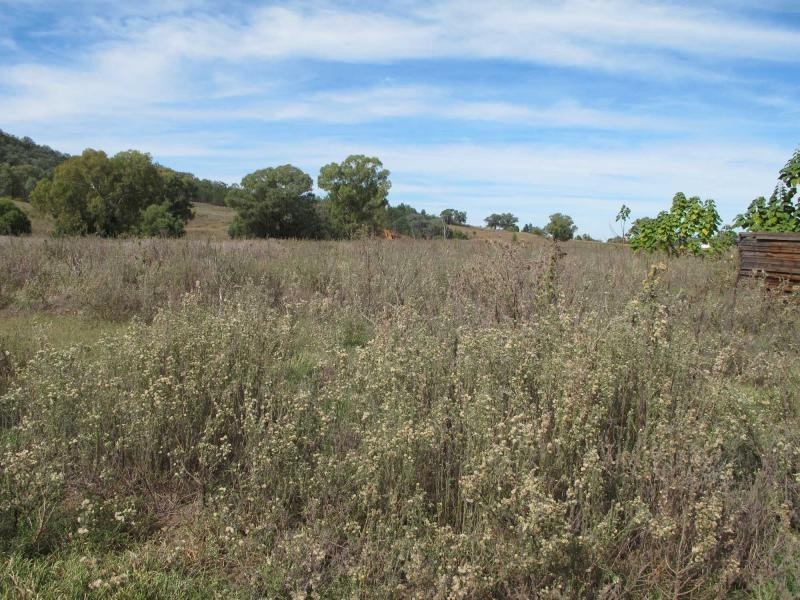 Bingara NSW 2404