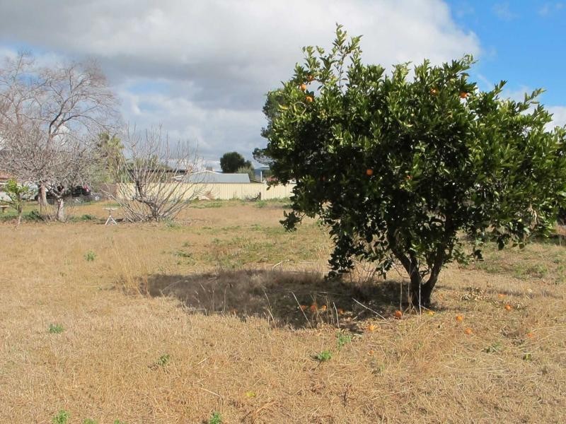 4 Lanagans Lane, Bingara NSW 2404