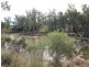 L1 Elcombe Road, Bingara NSW 2404