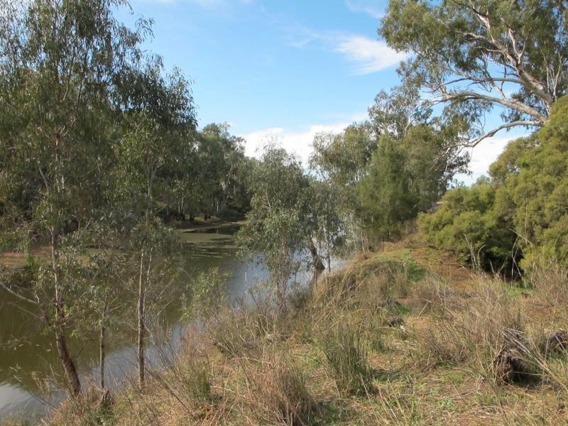 L1 Elcombe Road, Bingara NSW 2404