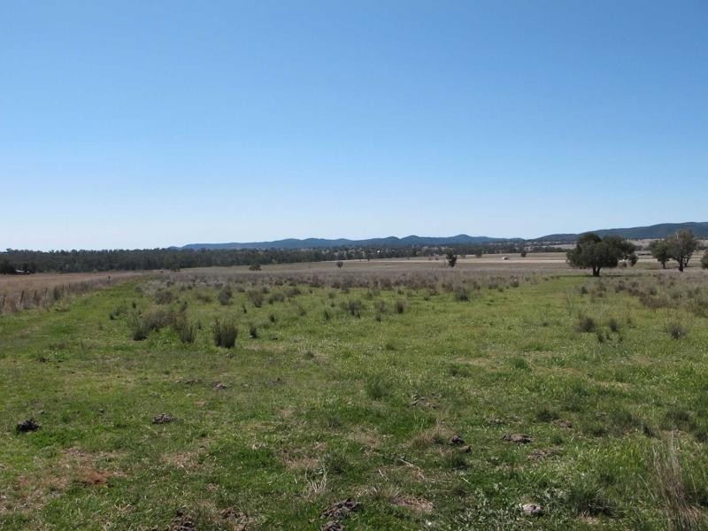L1 Elcombe Road, Bingara NSW 2404
