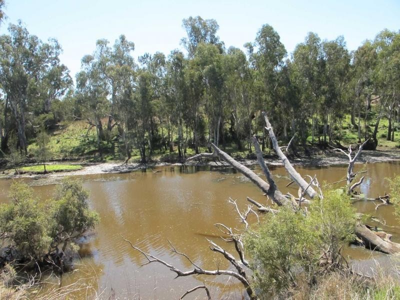 L1 Elcombe Road, Bingara NSW 2404