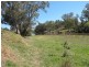 L1 Elcombe Road, Bingara NSW 2404