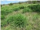 823 Eulowrie Road, Bingara NSW 2404