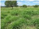 823 Eulowrie Road, Bingara NSW 2404