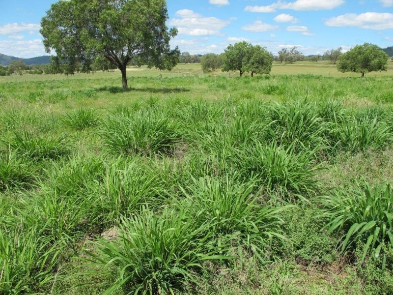 823 Eulowrie Road, Bingara NSW 2404