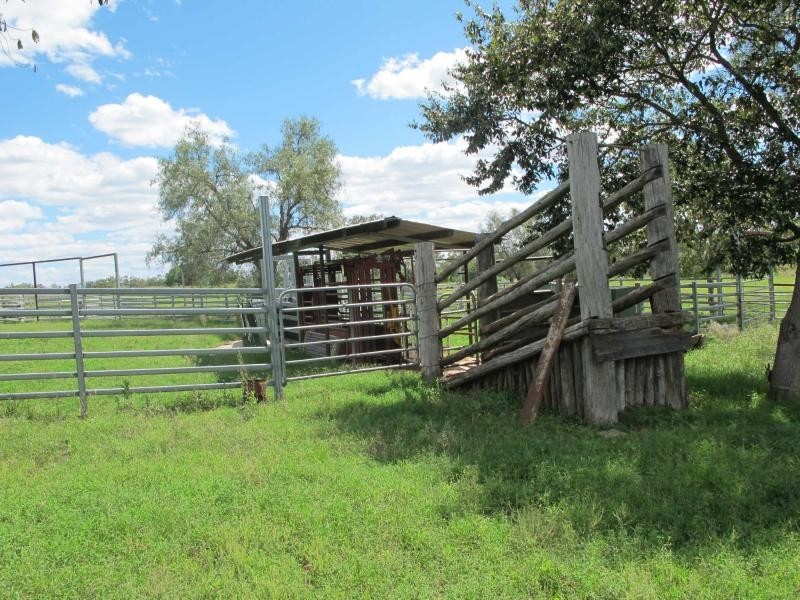 823 Eulowrie Road, Bingara NSW 2404
