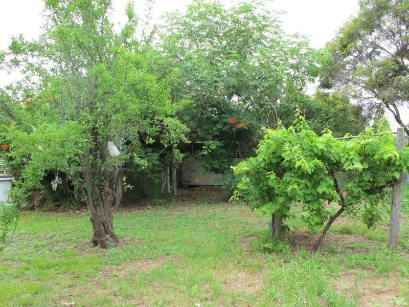 4 Bombelli Street, Bingara NSW 2404