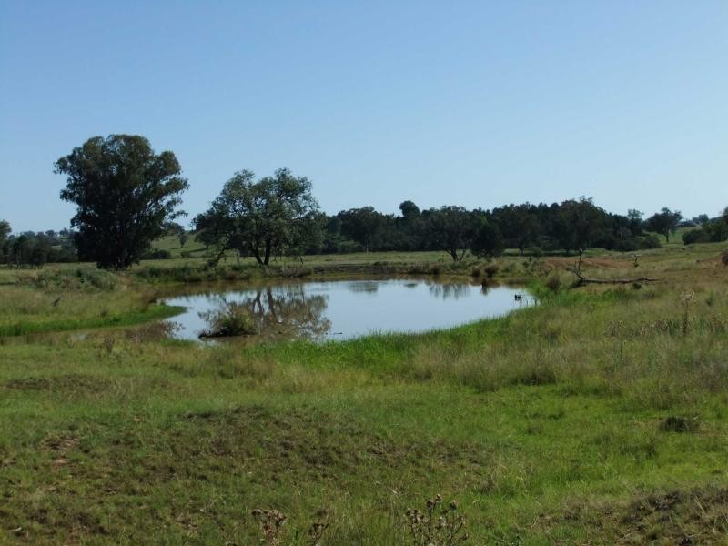 3410 Caroda Road, Bingara NSW 2404