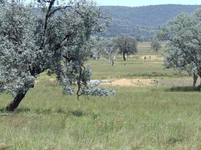 3410 Caroda Road, Bingara NSW 2404