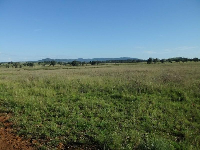 3410 Caroda Road, Bingara NSW 2404
