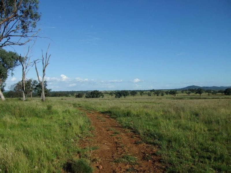 3410 Caroda Road, Bingara NSW 2404