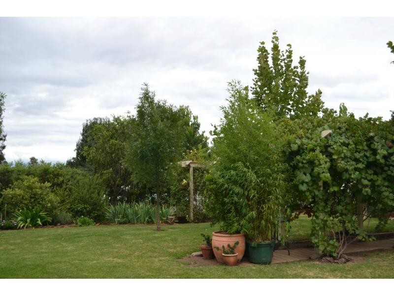 10 Hill Street, Bingara NSW 2404
