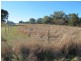 Lot 1, 3 & 4 Brigalow And Salter Street, Bingara NSW 2404