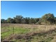 Lot 1, 3 & 4 Brigalow And Salter Street, Bingara NSW 2404