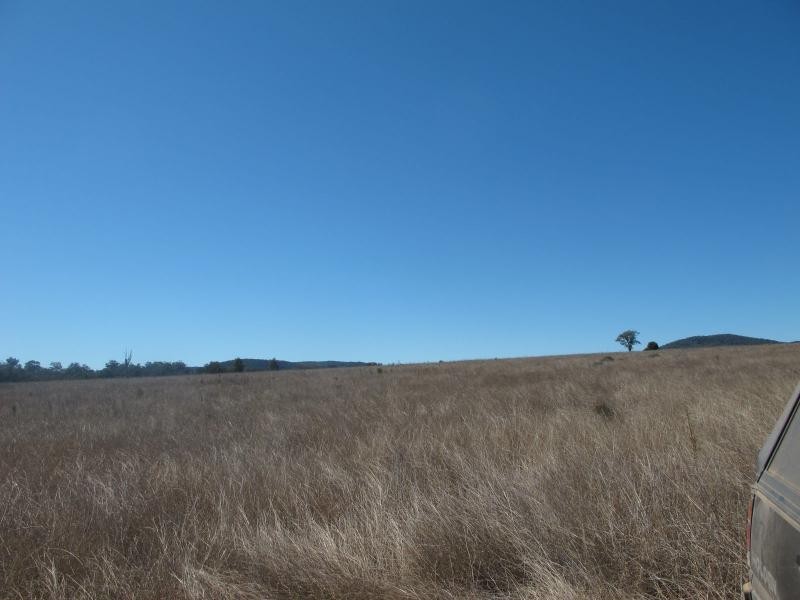 5000 Warialda Road, Bingara NSW 2404