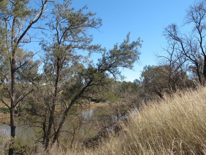 5000 Warialda Road, Bingara NSW 2404