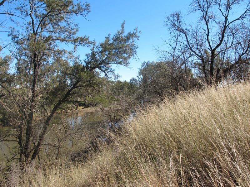 5000 Warialda Road, Bingara NSW 2404