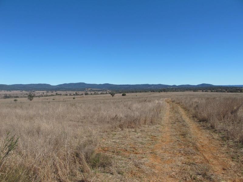 5000 Warialda Road, Bingara NSW 2404