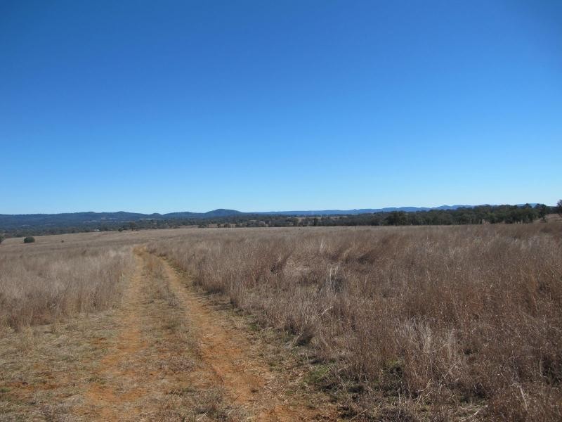 5000 Warialda Road, Bingara NSW 2404