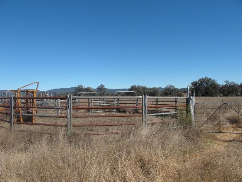 5000 Warialda Road, Bingara NSW 2404
