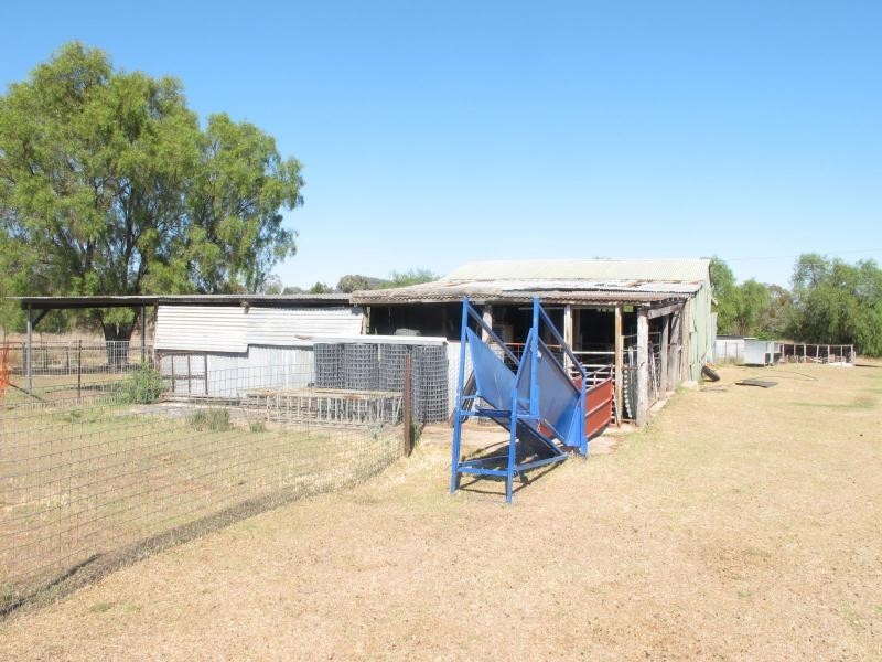 1892 Alan Cunningham Road, Bingara NSW 2404