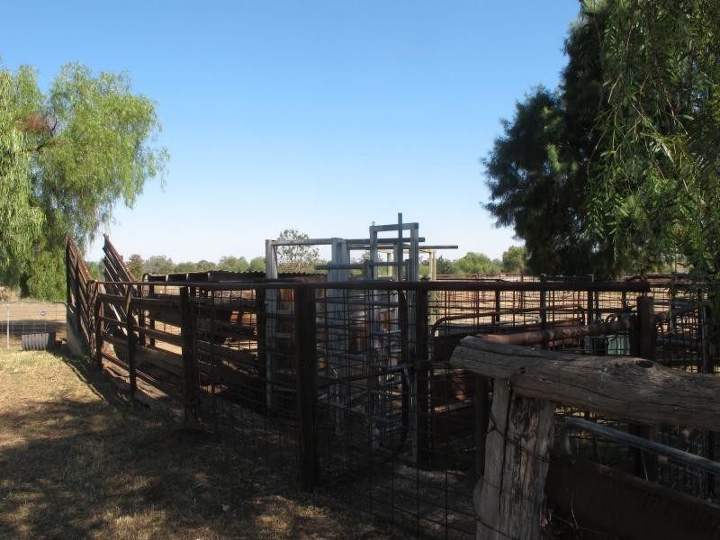 1892 Alan Cunningham Road, Bingara NSW 2404