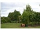 10 Hill Street, Bingara NSW 2404