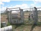 Myall Creek NSW 2403