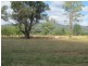 4186 Elcombe Road, Bingara NSW 2404