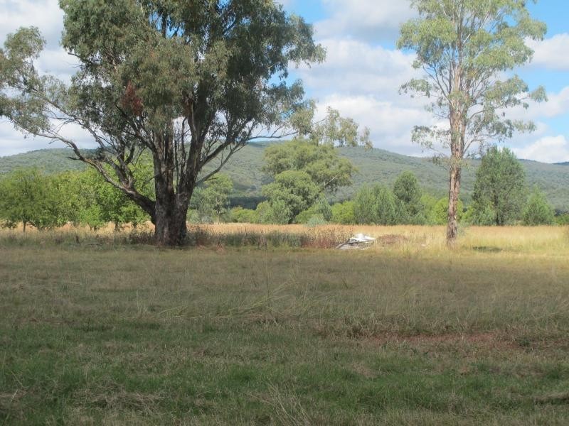 4186 Elcombe Road, Bingara NSW 2404