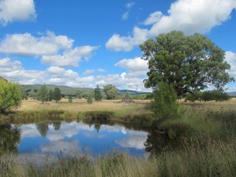 4186 Elcombe Road, Bingara NSW 2404