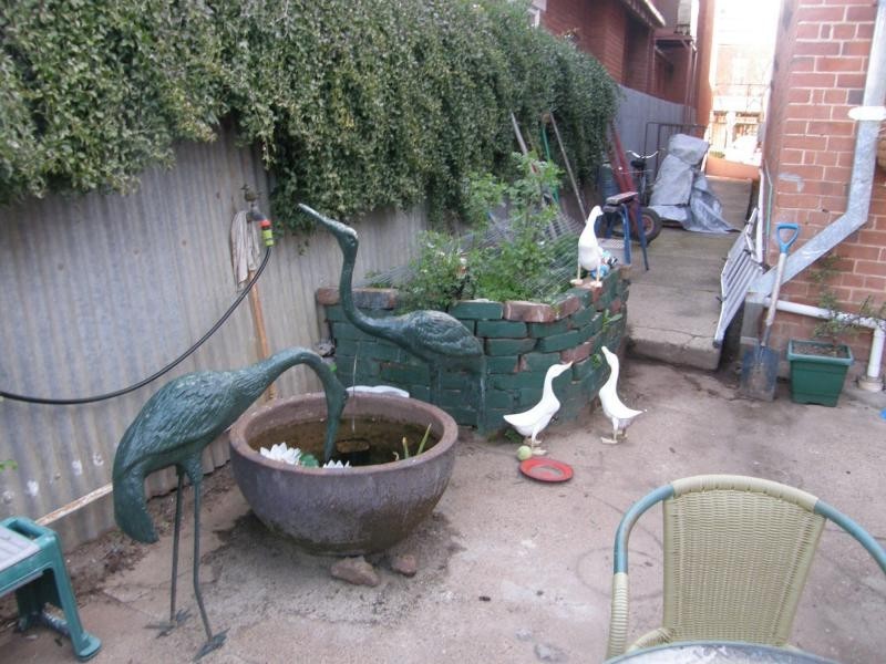 37 Maitland Street, Bingara NSW 2404