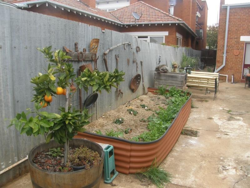 37 Maitland Street, Bingara NSW 2404