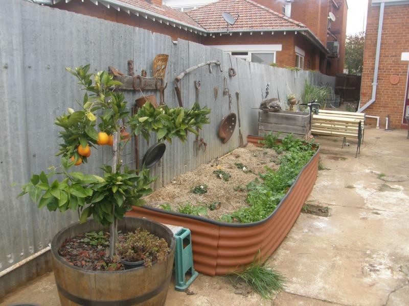 37 Maitland Street, Bingara NSW 2404