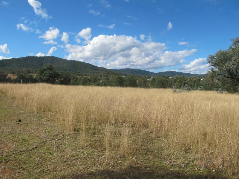 11 Salter Street, Bingara NSW 2404