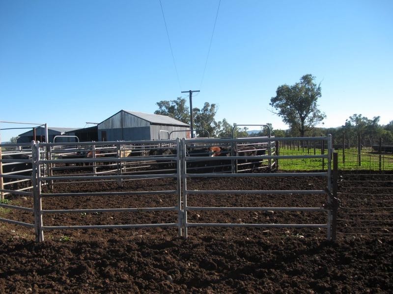 83 Kellys Road, Bingara NSW 2404