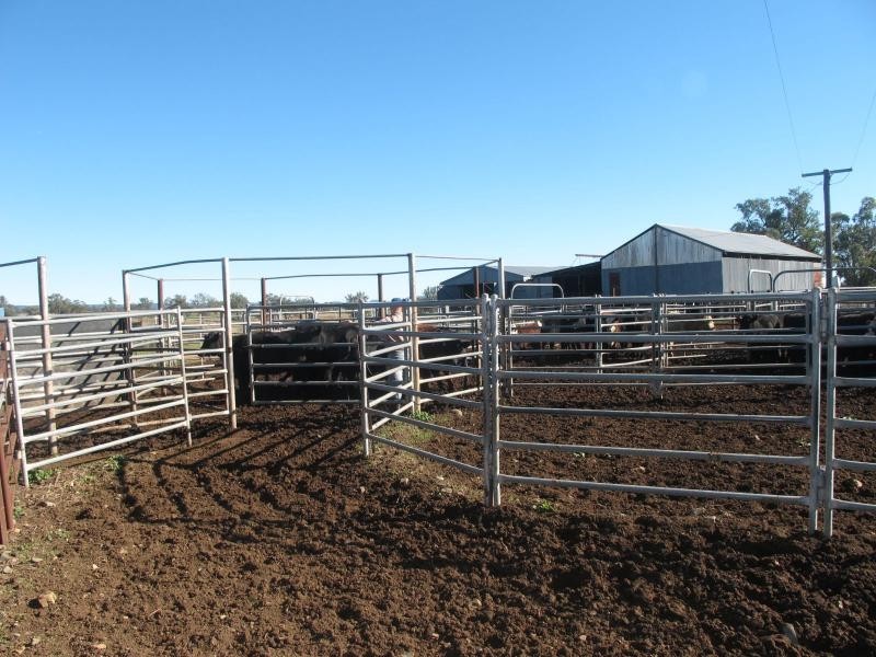 83 Kellys Road, Bingara NSW 2404