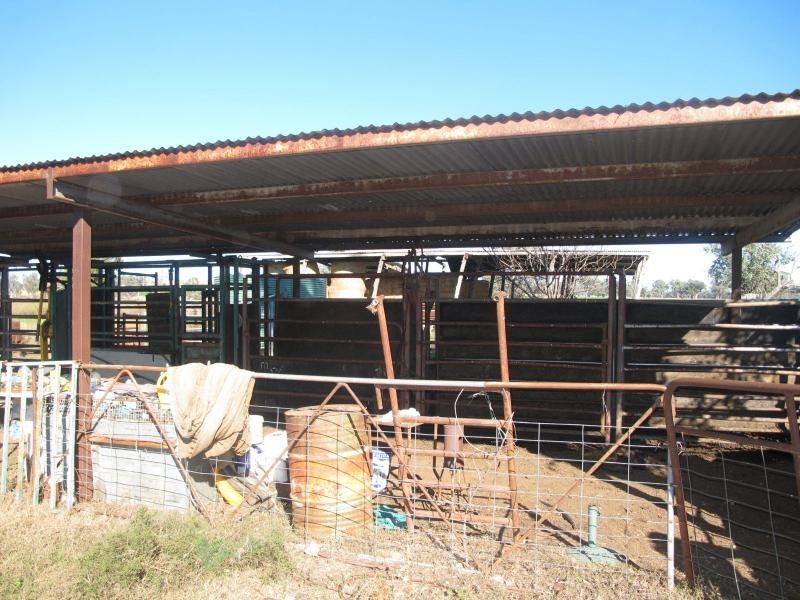 83 Kellys Road, Bingara NSW 2404