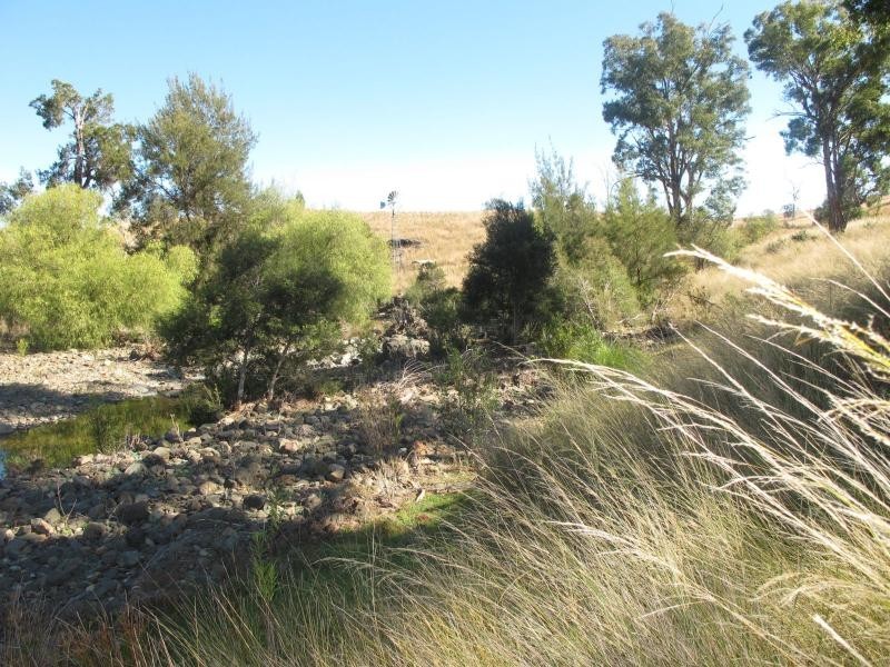 83 Kellys Road, Bingara NSW 2404