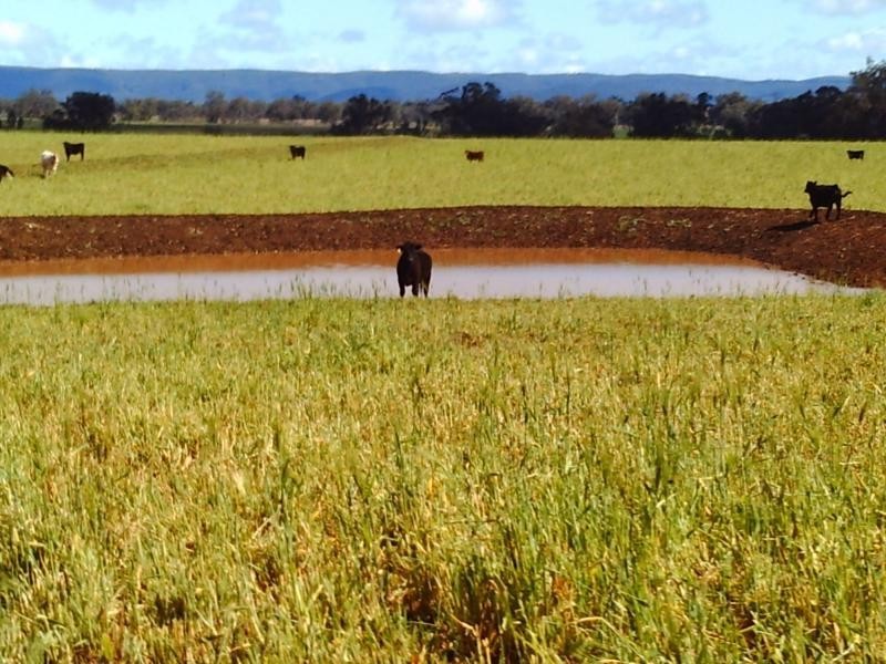 83 Kellys Road, Bingara NSW 2404