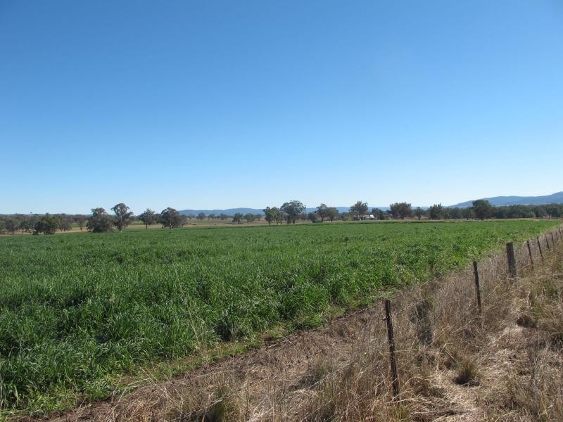 83 Kellys Road, Bingara NSW 2404