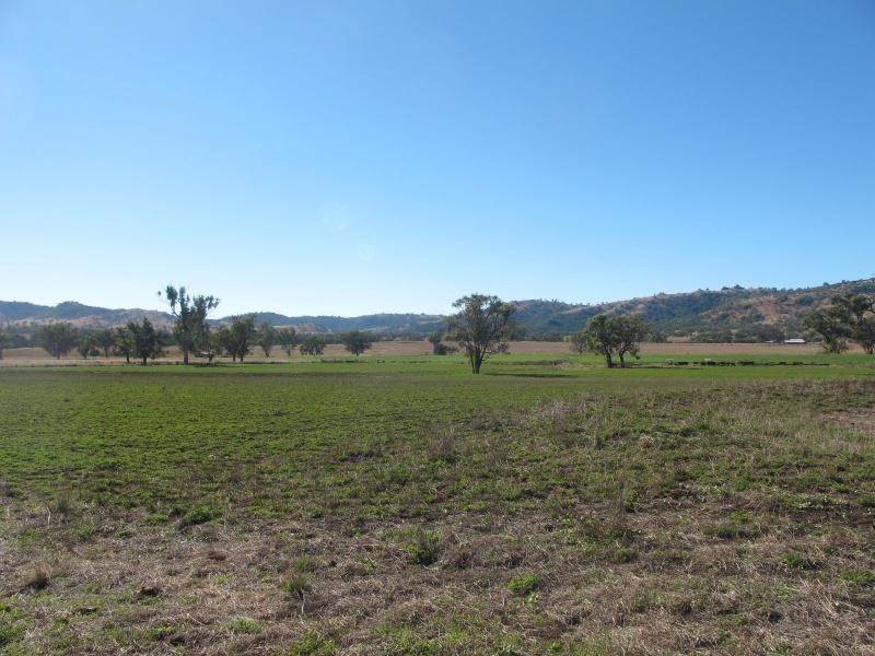 83 Kellys Road, Bingara NSW 2404