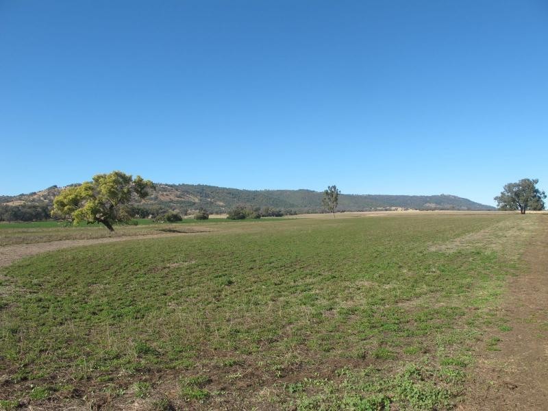 83 Kellys Road, Bingara NSW 2404