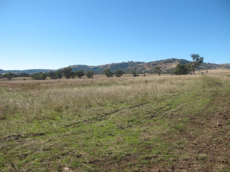 83 Kellys Road, Bingara NSW 2404