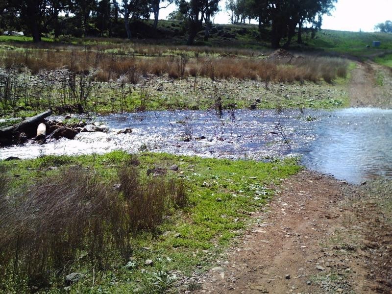 83 Kellys Road, Bingara NSW 2404