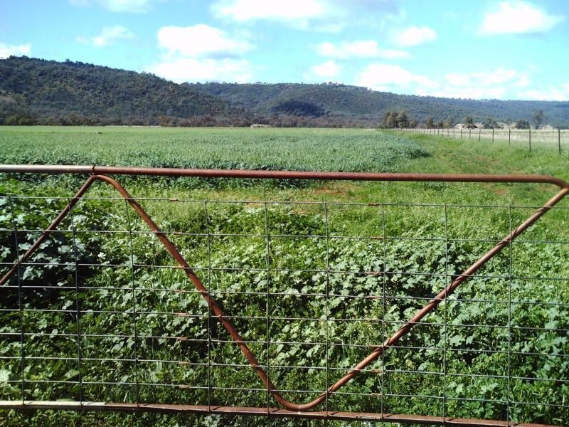 83 Kellys Road, Bingara NSW 2404