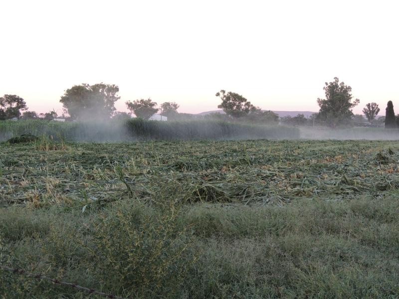 83 Kellys Road, Bingara NSW 2404