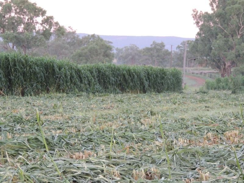 83 Kellys Road, Bingara NSW 2404